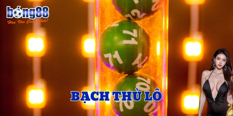 Bạch Thủ Lô là gì?